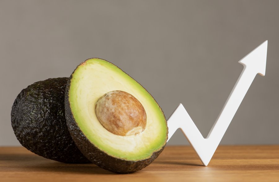 Ilustración de la historia de Guac.png Ilustración de la historia de Guac.png